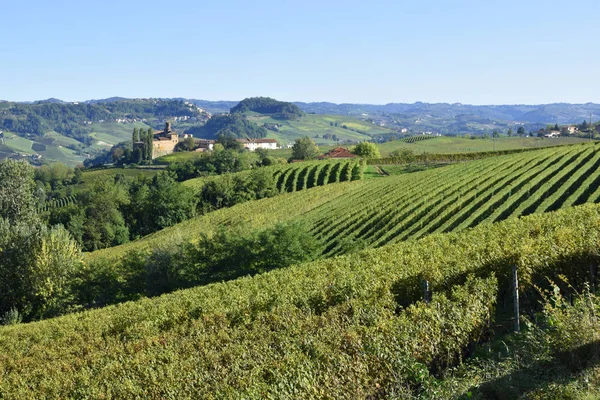 Panorama Vinhas Langhe Langhe São Famosos Pela Produção Vinho Italiano — Fotografia de Stock