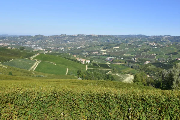 Panorama Vinhas Langhe Langhe São Famosos Pela Produção Vinho Italiano — Fotografia de Stock