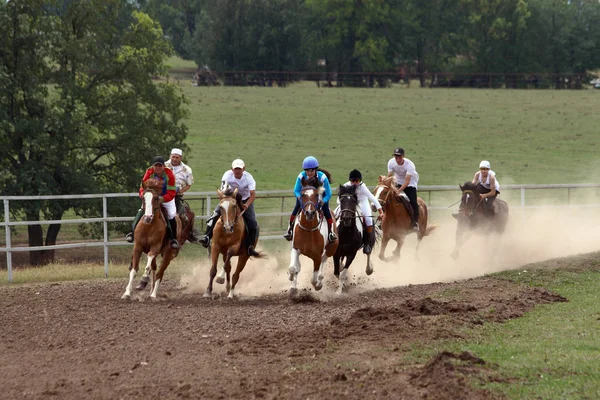 Tradicional Corridas Cavalos Bashkortostan Celebração Sabantuy 2016 Liquidação Ulu Telyak — Fotografia de Stock