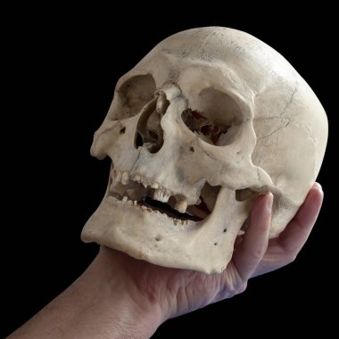İnsan eli, yakın çekim, izole üzerinde siyah kafatası. Yazık, zavallı Yorick!