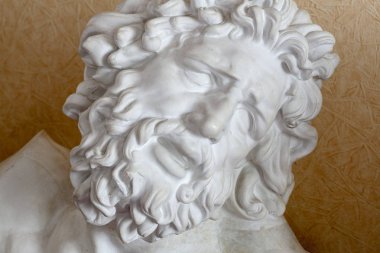 Antik kahraman Laocoon Başkanı parçası.