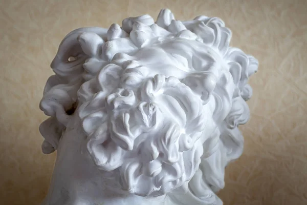 Fragment Head Ancient Hero Laocoon Stock Image