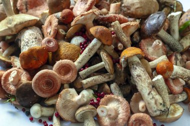 Bir sürü farklı yenilebilir yabani mantar.