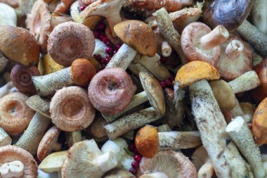 Bir sürü farklı yenilebilir yabani mantar.