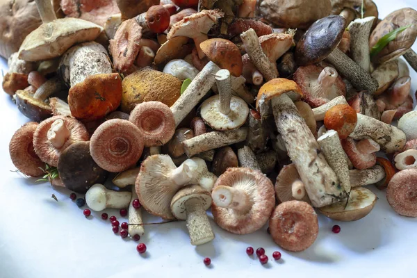 Bir sürü farklı yenilebilir yabani mantar.