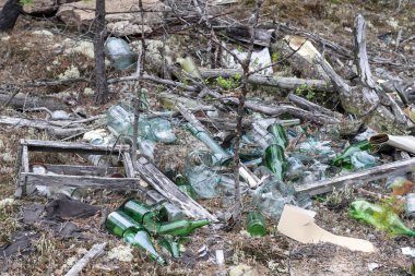 Çöp, ormanın içinde yaşamın atık