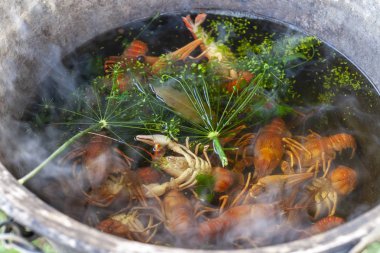 Tavada, geleneksel Rus yemeği haşlanmış kerevit