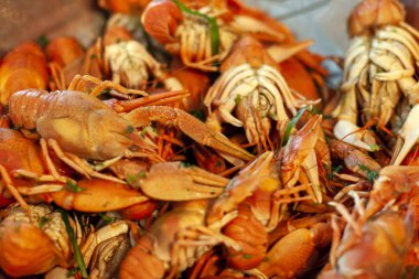 Bir sürü kırmızı haşlanmış kerevit