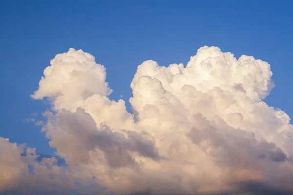 Cumulus Memiliki Pandangan Yang Aneh Awan Menyerupai Unta — Stok Foto