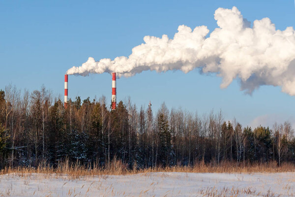 Smoking chimneys against a clear sky and nature on a frosty winter day.
