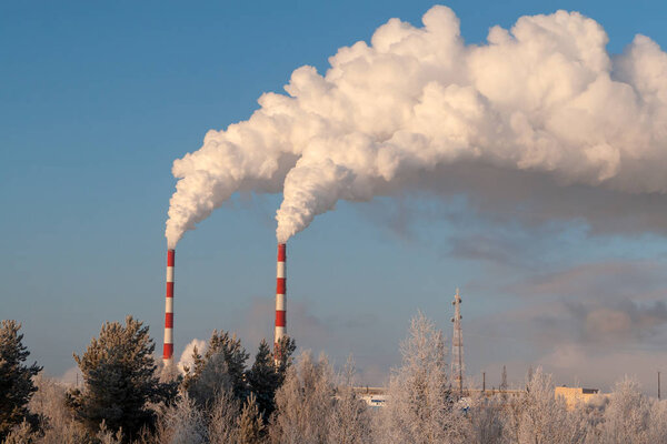 Pipes of thermal power plants on a frosty winter day. White thick smoke from high pipes of thermal power station. White steam against the blue sky on a frosty winter day.
