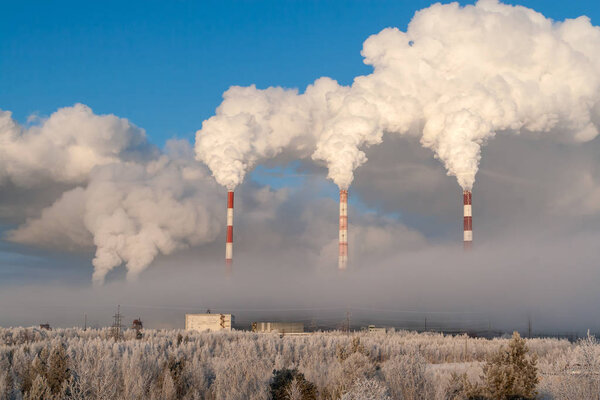 Pipes of thermal power plants on a frosty winter day. White thick smoke from high pipes of thermal power station. White steam against the blue sky on a frosty winter day.
