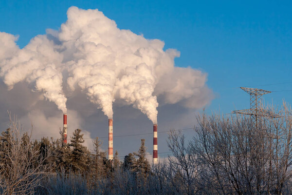 Pipes of thermal power plants on a frosty winter day. White thick smoke from high pipes of thermal power station. White steam against the blue sky on a frosty winter day.