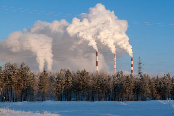 Pipes of thermal power plants on a frosty winter day. White thick smoke from high pipes of thermal power station. White steam against the blue sky on a frosty winter day.