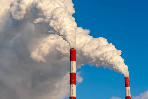 Pipes of thermal power plants on a frosty winter day, close-up. White thick smoke from high pipes of a thermal power plant. White steam on a blue sky on a frosty winter day.