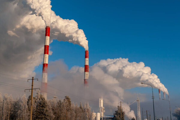 Pipes of thermal power plants on a frosty winter day, close-up. White thick smoke from high pipes of a thermal power plant. White steam on a blue sky on a frosty winter day.