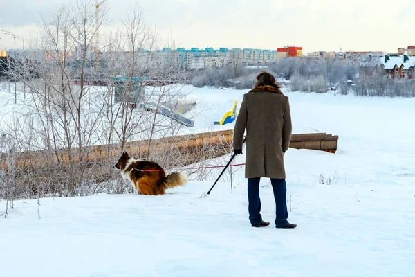 Russia, Surgut, December 20, 2018: A man walks a dog on a frosty winter morning. Dog poops on clean snow. Pollution of the environment. — Stock Image Russia Surgut December 2018 Man Walks Dog Frosty Winter Morning Stock Image