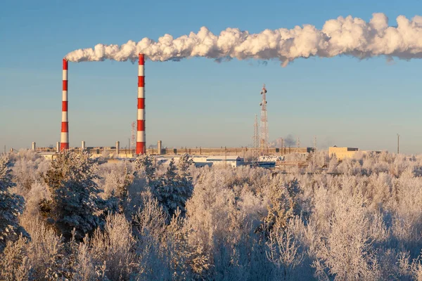Rusya, Surgut, 25 Aralık 2018: kışın Surgut Gres-1 termik santral.