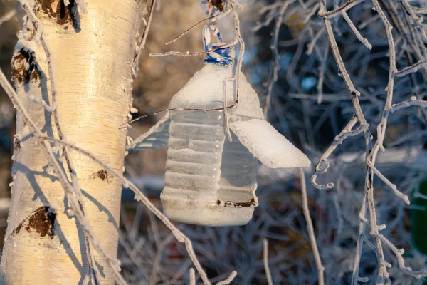 Alimentador Pássaros Feito Garrafa Plástico Pendurado Árvore Inverno — Fotografia de Stock