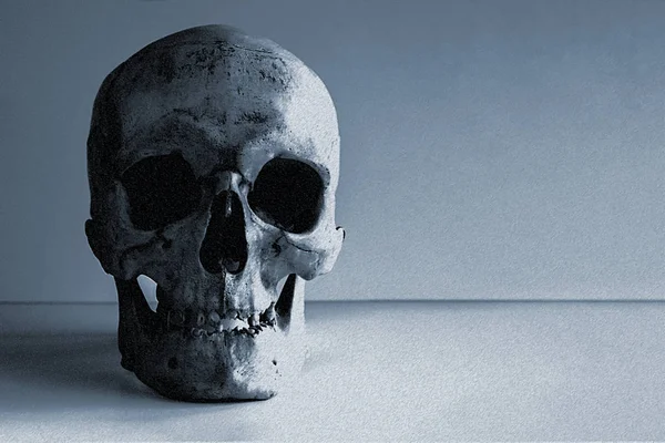 Human skull in full face on the table with a copy of space. The concept of monochrome blue-gray, dark colors.