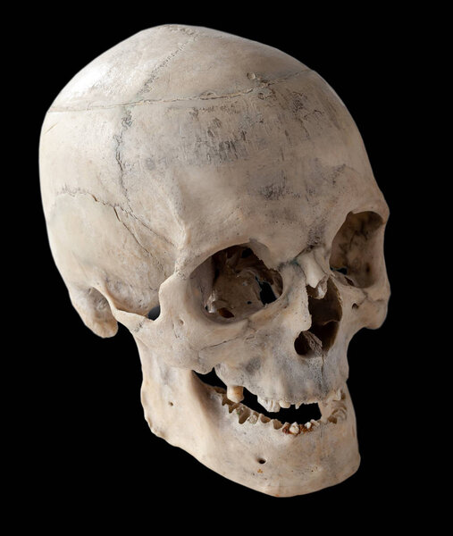 Three-quarter angle of the human skull. A human skull with a toothless mouth. Isolated on black.