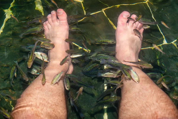 Erkekler bacak peeling yapmak balık Havuzu. Ayak peeli — Stok fotoğraf