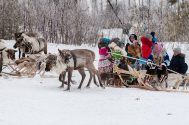 Eğlenceli bir Ren geyiği kızak üzerinde sürme.