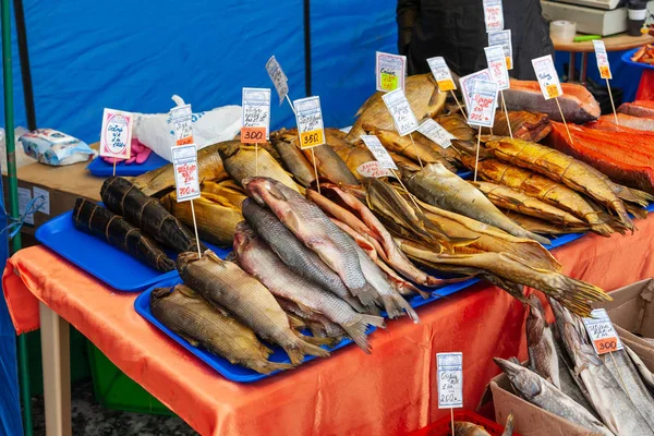 Mostra com deliciosos peixes de diferentes variedades e espécies . — Fotografia de Stock