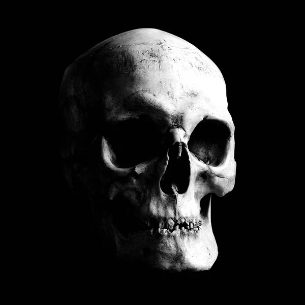 Контрастне світло-тіньове зображення людського черепа на чорному фоні — стокове фото