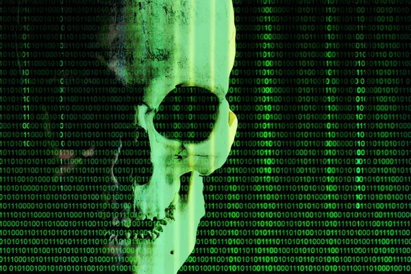 Hintergrund im Stil der Matrix mit dem Totenkopf. Schädel in einer digitalen Matrix. Konzept: digitaler Tod; künstliche Intelligenz; Cyber-Piraten; Robotik; Hacker; Cyber-Angriffe. Illustration. — Stockbild Schädel in digitaler Matrix. — Stockfoto