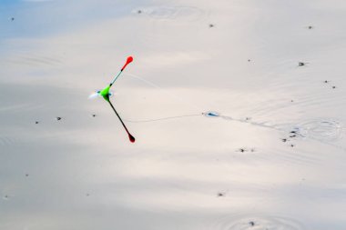 Su yüzeyinde balık yüzmek.