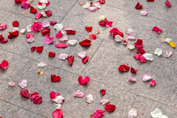 Les pétales de rose sont éparpillés sur le sol après la cérémonie de mariage — Photo