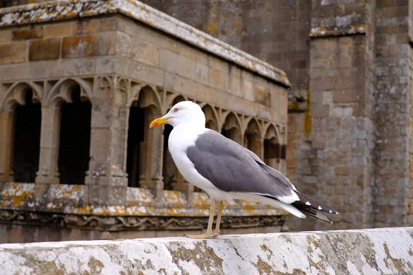 Mont Saint Michel França Europa — Fotografia de Stock