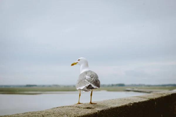 Mont Saint Michel França Europa — Fotografia de Stock