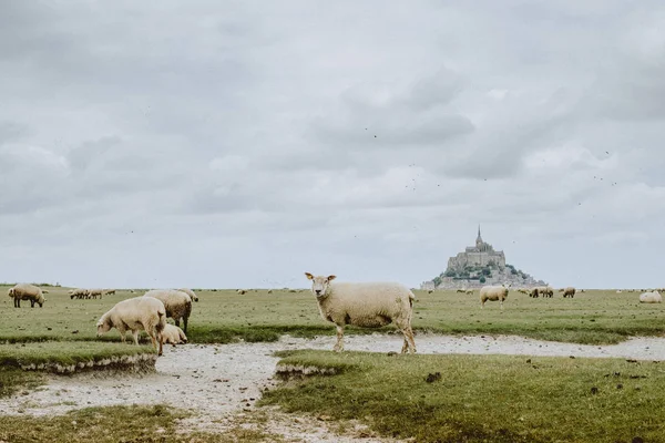 Mont Saint Michel Francia Europa — Foto de Stock