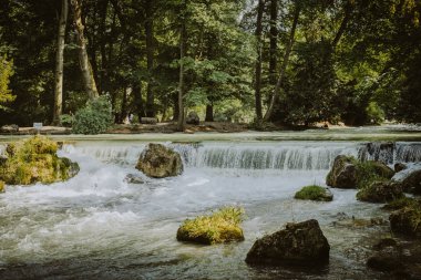 orman doğa bitkiler Nehri