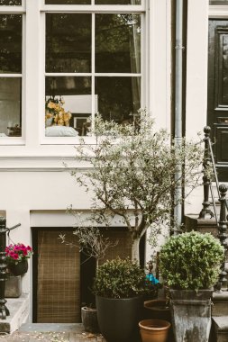 Amsterdam Hollanda şehir seyahat yerler