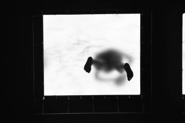 Siyah ve beyaz - Blanco y negro