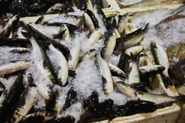 Pazar yeri balık almak