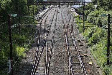 Demiryolu parça ormanda