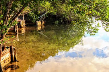 Jacuipe Nehri ve onun şeffaf su.