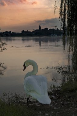 Paesaggi d 'autunno / Sonbahar manzaraları