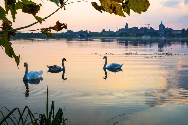 Paesaggi d 'autunno / Sonbahar manzaraları