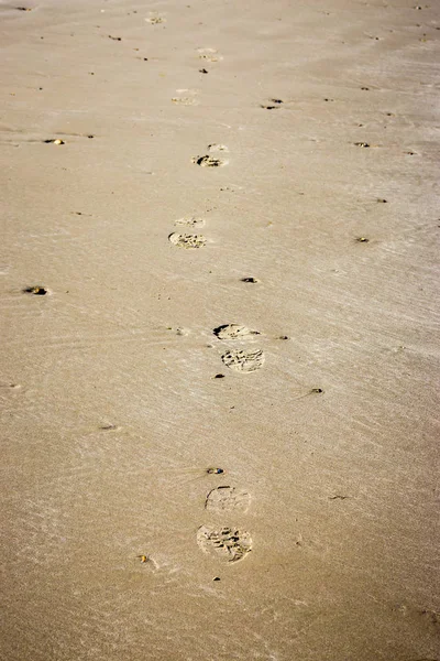 Kumda sana doğru yürüyen ayak izleri, portre görüntüsü.
