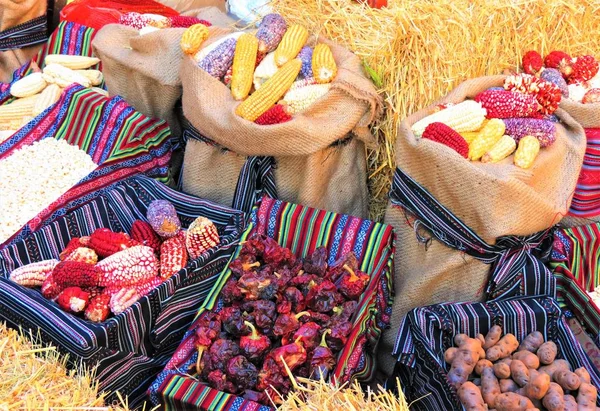 Gefärbter Indischer Mais Verschiedene Hülsenfrüchte Kartoffeln Und Getrocknete Paprika Einem — Stockfoto