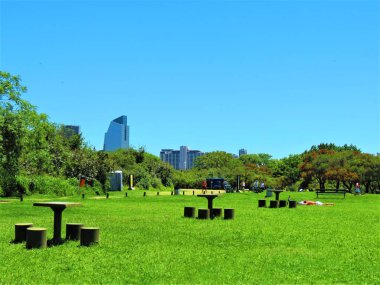 Buenos Aires, Arjantin: Görünüm Costanera Sur ekolojik rezerv Park.