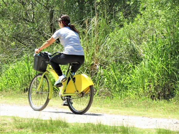 Buenos Aires, Arjantin: Kadın binicilik bisiklet park.