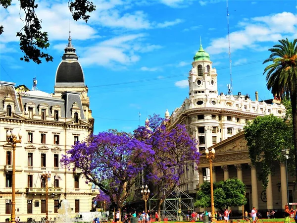 Buenos Aires Argentyna Listopada 2019 Plaza Mayo Plac Majów Plac Obraz Stockowy