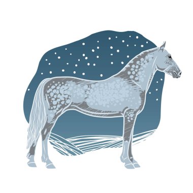 Gri ata yan mavi arka plan üzerinde duruyor