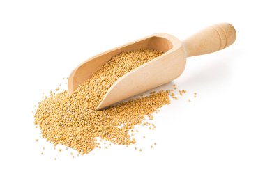 Beyaz arka plan üzerinde ahşap kepçe ham, işlenmemiş hardal tohumu çekirdek yığını